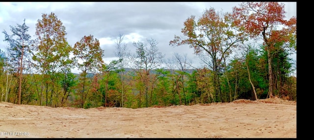 1200 Steer Creek Rd, Tellico Plains, TN 37385 - photo 6