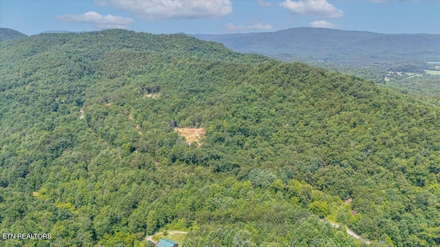 1200 Steer Creek Rd, Tellico Plains, TN 37385 - photo 25