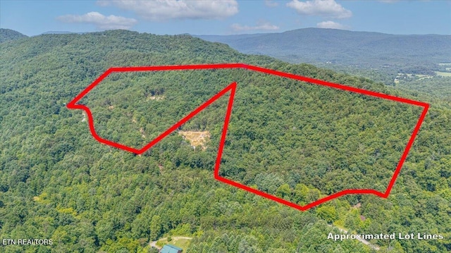 1200 Steer Creek Rd, Tellico Plains, TN 37385 - photo 26