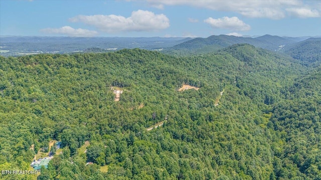 1200 Steer Creek Rd, Tellico Plains, TN 37385 - photo 27