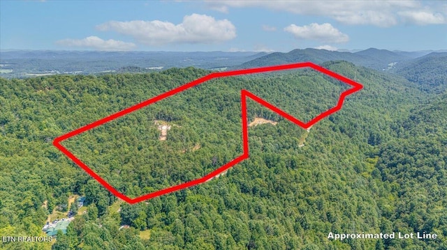 1200 Steer Creek Rd, Tellico Plains, TN 37385 - photo 28