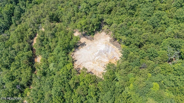 1200 Steer Creek Rd, Tellico Plains, TN 37385 - photo 29