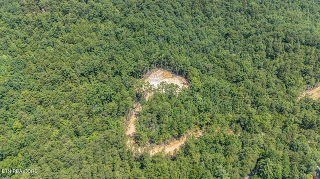 1200 Steer Creek Rd, Tellico Plains, TN 37385 - photo 30