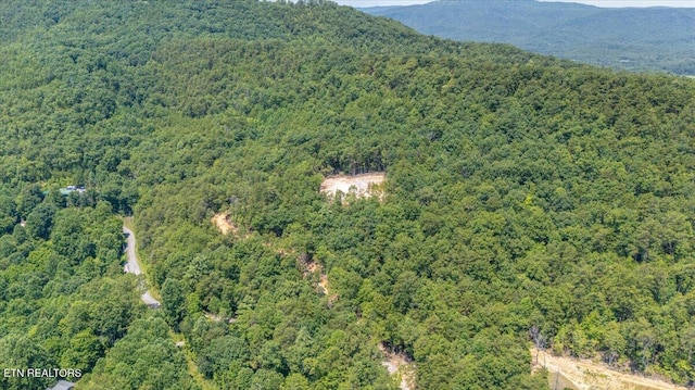 1200 Steer Creek Rd, Tellico Plains, TN 37385 - photo 31