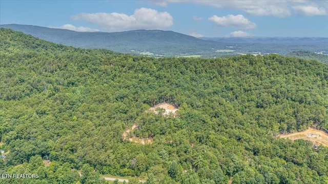 1200 Steer Creek Rd, Tellico Plains, TN 37385 - photo 32