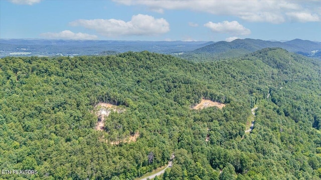 1200 Steer Creek Rd, Tellico Plains, TN 37385 - photo 33