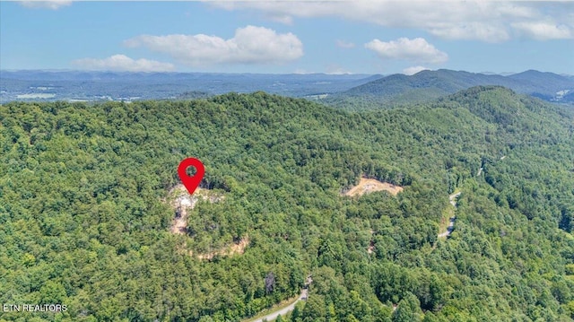 1200 Steer Creek Rd, Tellico Plains, TN 37385 - photo 34