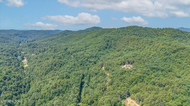 1200 Steer Creek Rd, Tellico Plains, TN 37385 - photo 35