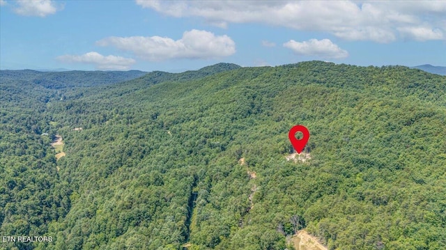 1200 Steer Creek Rd, Tellico Plains, TN 37385 - photo 36