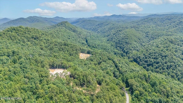 1200 Steer Creek Rd, Tellico Plains, TN 37385 - photo 37