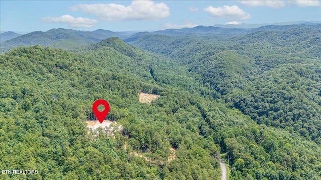 1200 Steer Creek Rd, Tellico Plains, TN 37385 - photo 38