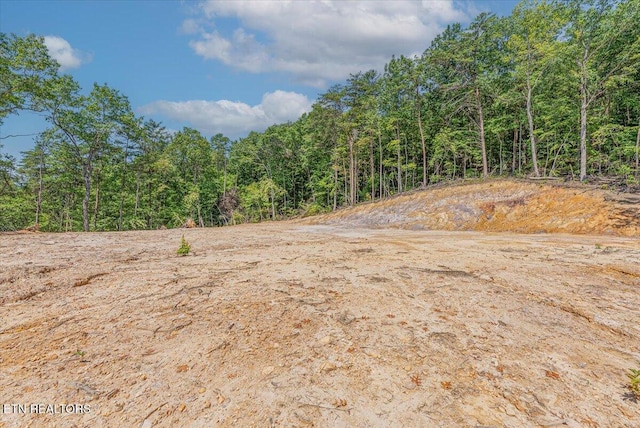 1200 Steer Creek Rd, Tellico Plains, TN 37385 - photo 4