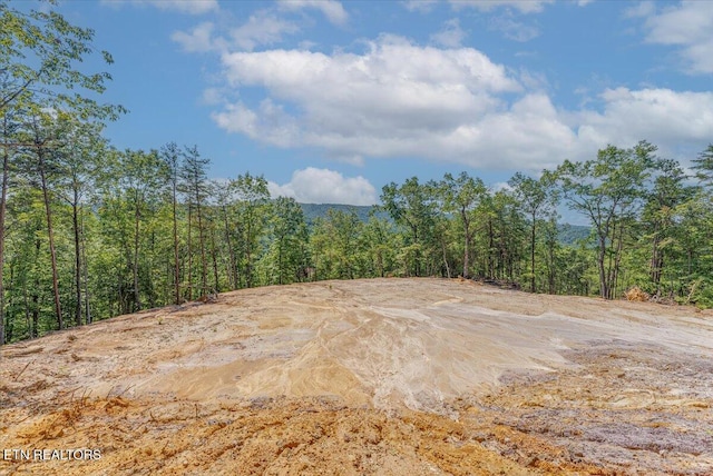 1200 Steer Creek Rd, Tellico Plains, TN 37385 - photo 5