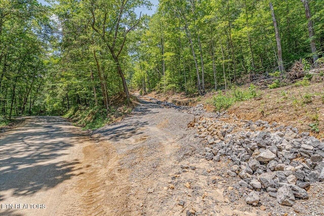 1200 Steer Creek Rd, Tellico Plains, TN 37385 - photo 7