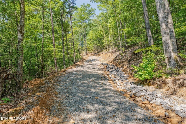 1200 Steer Creek Rd, Tellico Plains, TN 37385 - photo 8