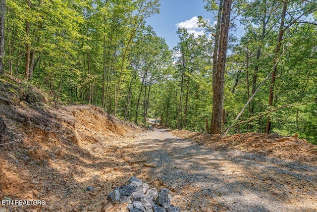1200 Steer Creek Rd, Tellico Plains, TN 37385 - photo 9