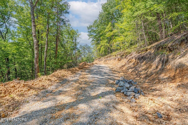 1200 Steer Creek Rd, Tellico Plains, TN 37385 - photo 10
