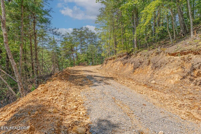 1200 Steer Creek Rd, Tellico Plains, TN 37385 - photo 11