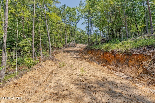 1200 Steer Creek Rd, Tellico Plains, TN 37385 - photo 12