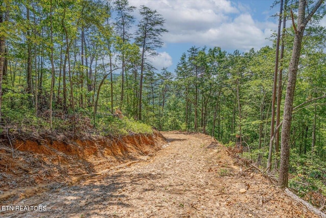 1200 Steer Creek Rd, Tellico Plains, TN 37385 - photo 13
