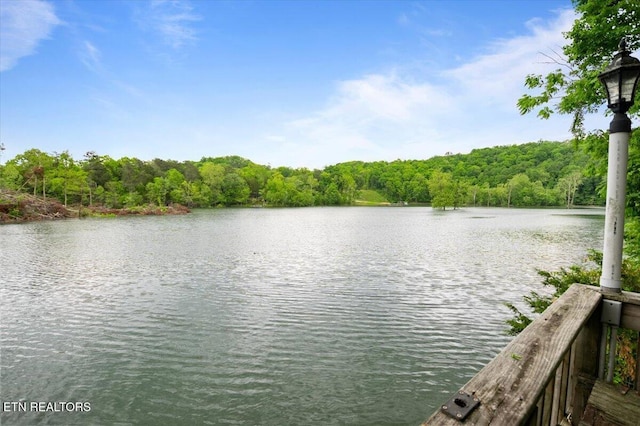 view of water feature with a wooded view
