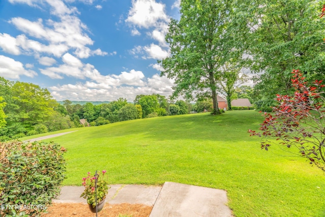 6605 Lammie Branch Ln, Knoxville, TN 37938 - view of grassy yard featuring golf course view and view of wooded area