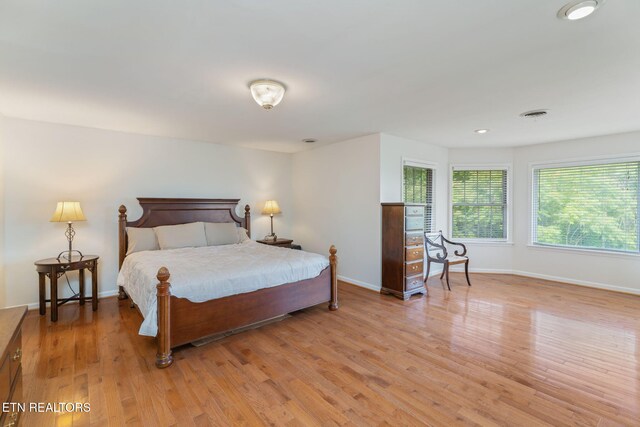 6605 Lammie Branch Ln, Knoxville, TN 37938 - bedroom with baseboards, light wood-style flooring, and recessed lighting