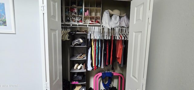 4808 Beverly Field Way, Knoxville, TN 37918 - view of closet