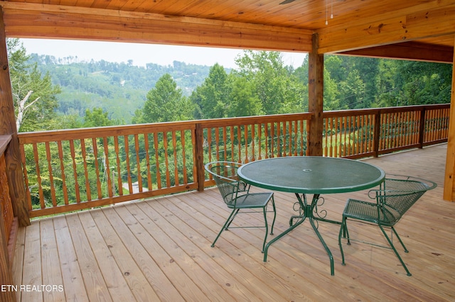 363 Lewis Clabo Rd, Gatlinburg, TN 37738 - photo 47