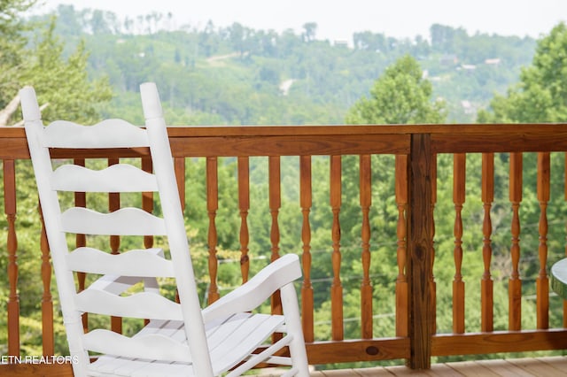363 Lewis Clabo Rd, Gatlinburg, TN 37738 - photo 49