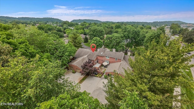5039 Griffins Gate Ln, Knoxville, TN 37912 - bird's eye view with a view of trees