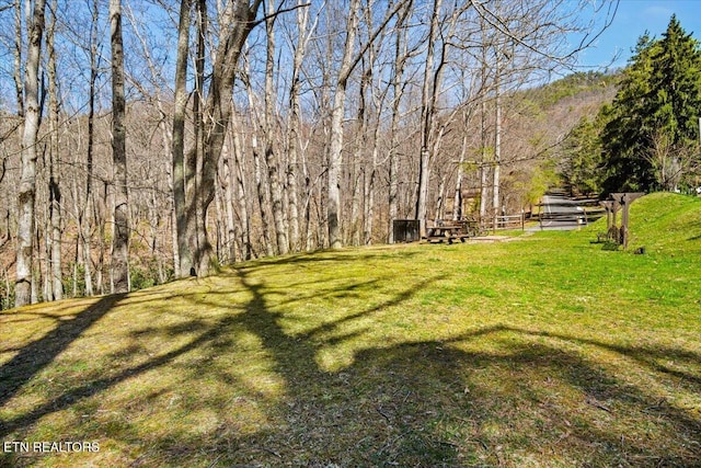 view of grassy yard