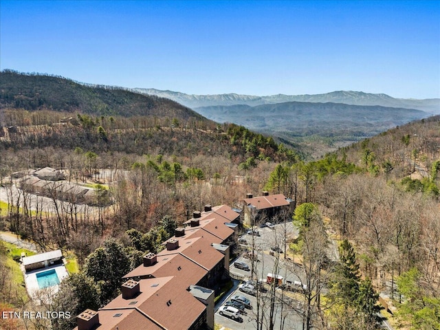 mountain view