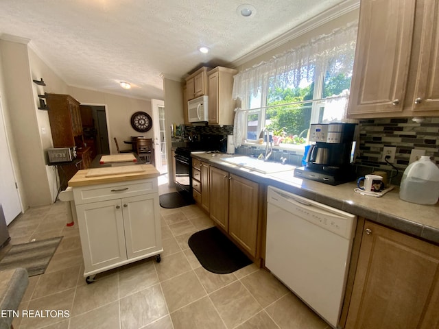 205 Browder Rd, Kingston, TN 37763 - kitchen with a sink, white appliances, ornamental molding, a textured ceiling, and backsplash