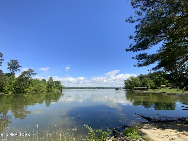 205 Browder Rd, Kingston, TN 37763 - property view of water