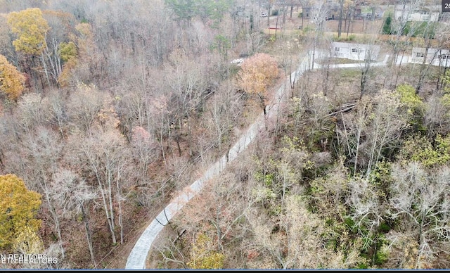 4732 Brown Gap Rd, Knoxville, TN 37918 - photo 1
