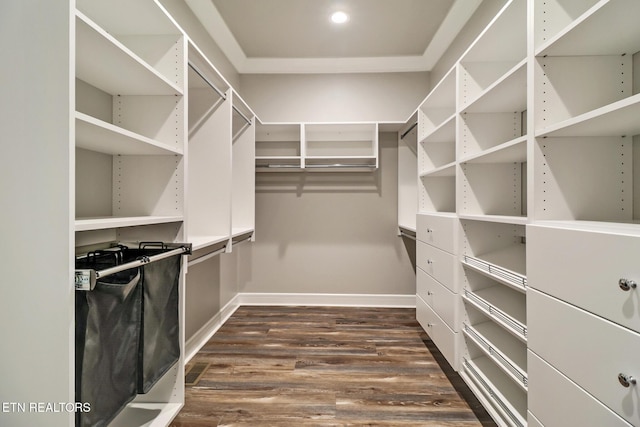 spacious closet featuring dark wood finished floors