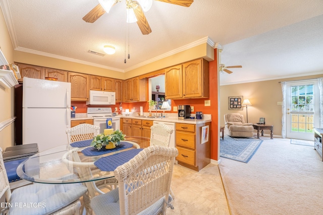122 Hawthorne Oaks Way, Powell, TN 37849 - kitchen with white appliances, ceiling fan, a sink, light countertops, and ornamental molding