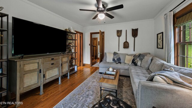 908 SW Iskagna Dr, Knoxville, TN 37919 - photo 26