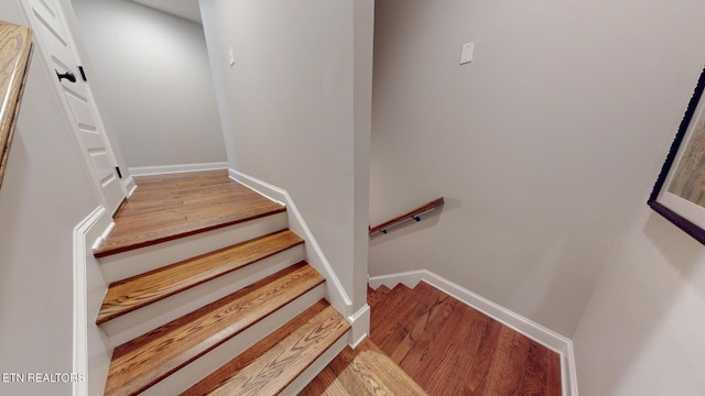 471 Roseland Ln, Lenoir City, TN 37772 - photo 25