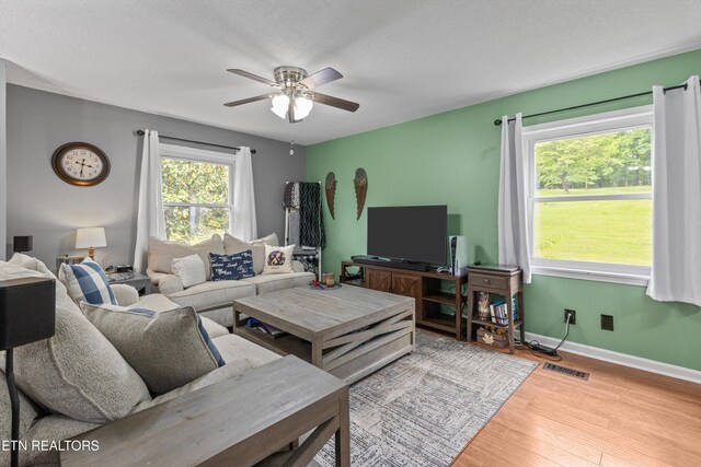 216 Cox Rd, Loudon, TN 37774 - photo 9