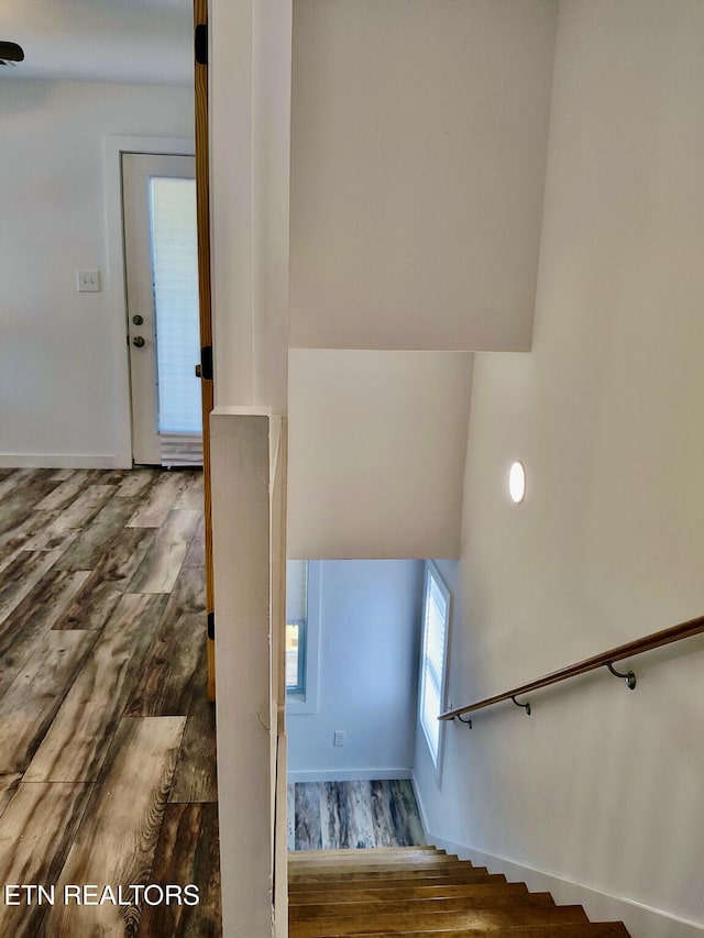2232 Mississippi Ave, Knoxville, TN 37921 - stairs with wood finished floors