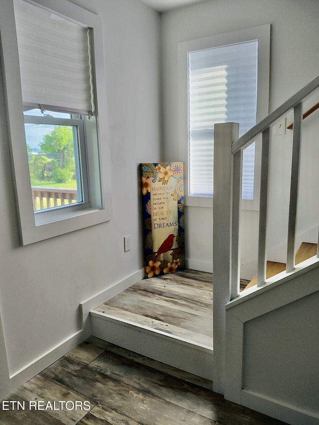 2232 Mississippi Ave, Knoxville, TN 37921 - photo 8