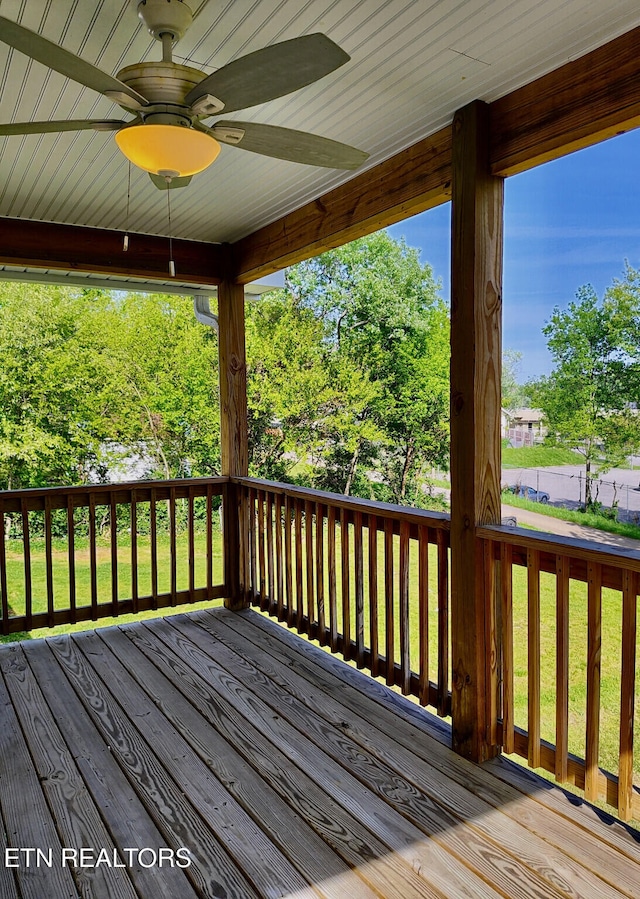 2232 Mississippi Ave, Knoxville, TN 37921 - photo 16