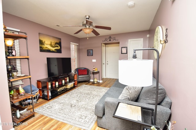 812 Blue Spruce Way, Knoxville, TN 37912 - photo 6