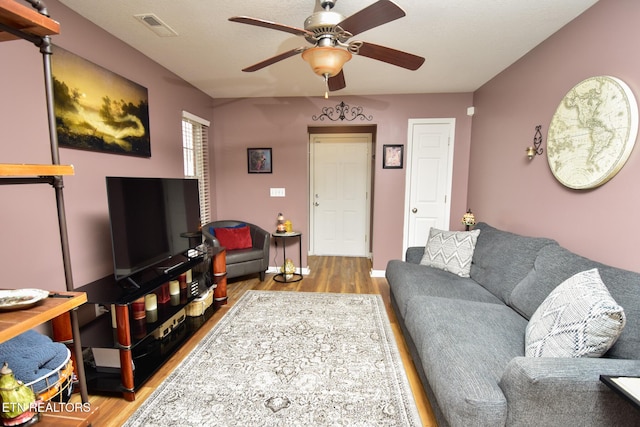 812 Blue Spruce Way, Knoxville, TN 37912 - photo 7