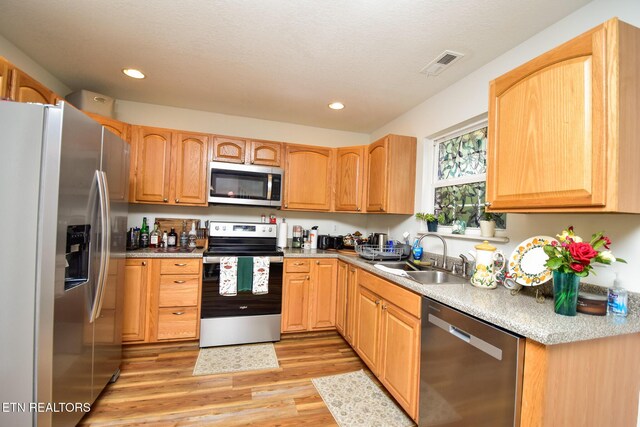 812 Blue Spruce Way, Knoxville, TN 37912 - photo 11