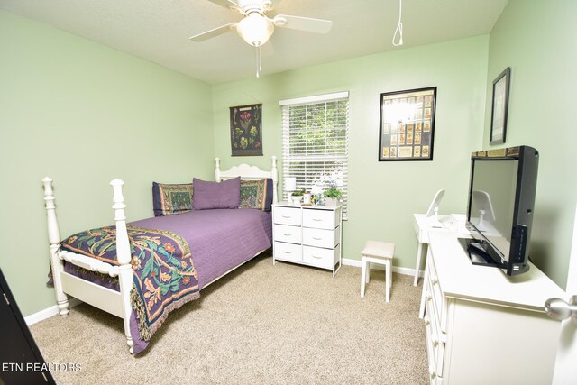 812 Blue Spruce Way, Knoxville, TN 37912 - photo 20