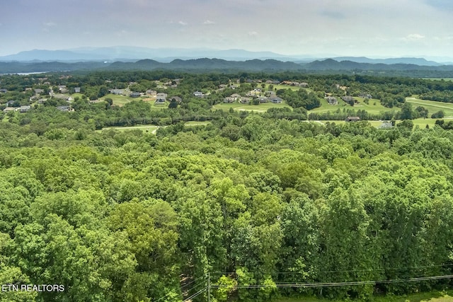 419 Mountain View Dr, Vonore, TN 37885 - photo 1