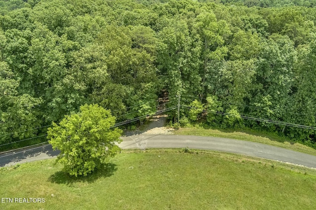 419 Mountain View Dr, Vonore, TN 37885 - photo 2